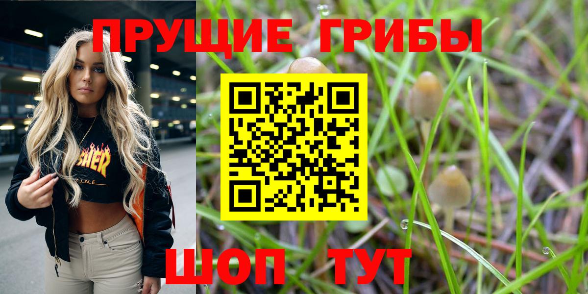 даркнет сайт  Вход с VPN  Магадан  Псилоцибиновые грибы прущие грибы 